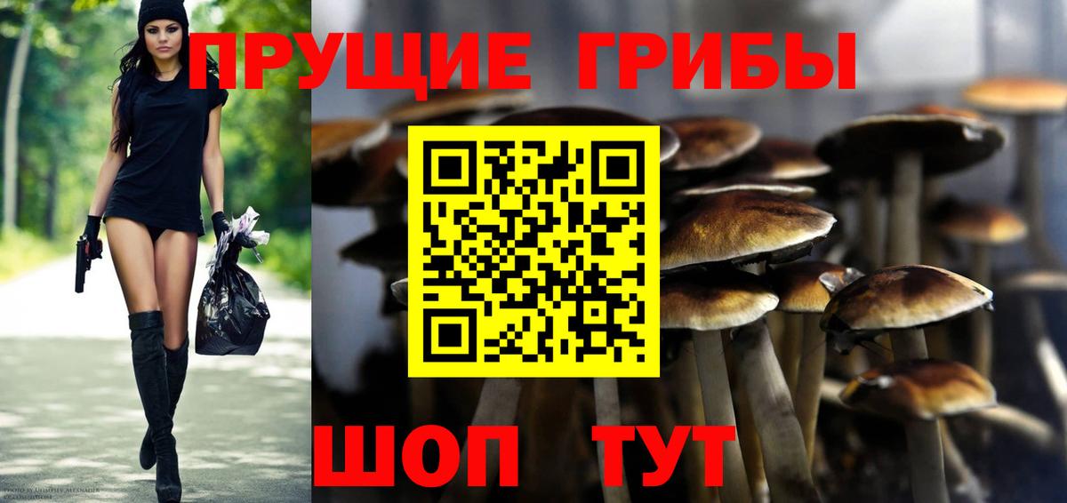 Галлюциногенные грибы Psilocybine cubensis  Вход с VPN  Заречный 