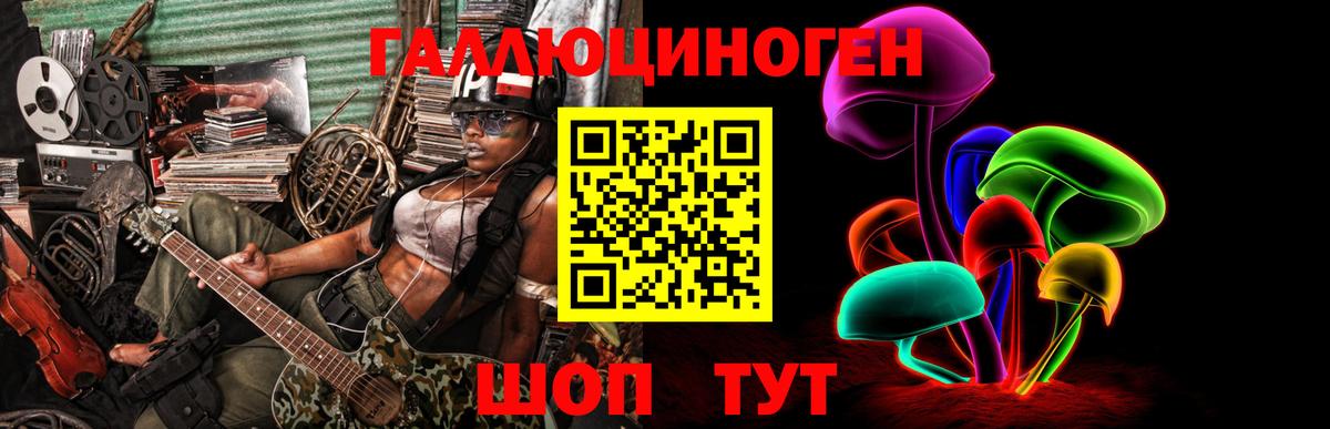 Галлюциногенные грибы Psilocybe Заречный